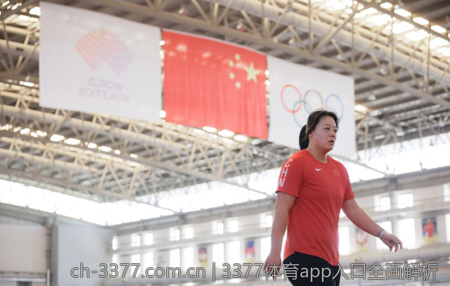 3377体育app入口全面解析