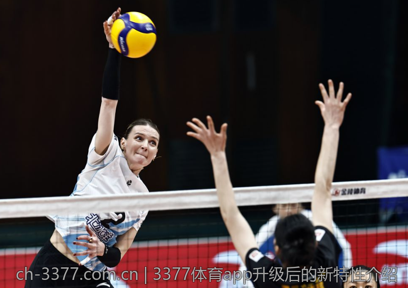 3377体育app升级后的新特性介绍